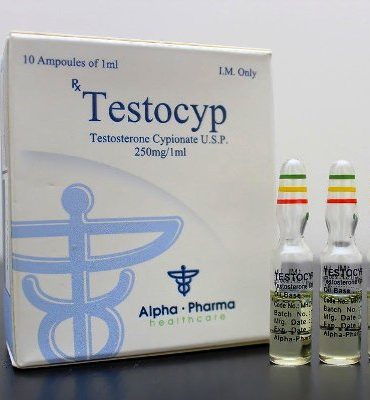 Testosterone Cypionate 10 ampollas (250mg/ml) online by Alpha Pharma, Watson analogue